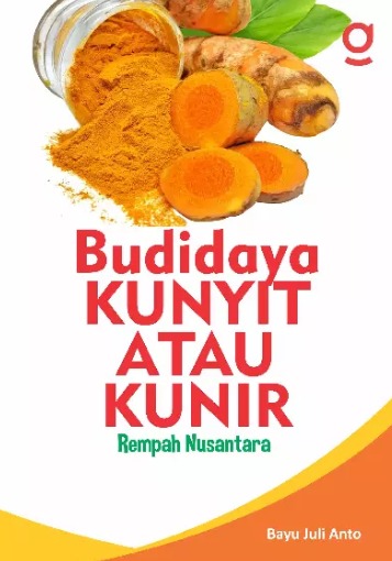 Budidaya Kunyit Atau Kunir : Rempah Nusantara 