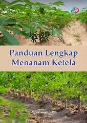 Panduan Lengkap Menanam Ketela 