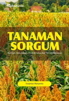 Tanaman Sorgum : Manfaat, Kebutuhan, Produktivitas dan Pembudidayaan 