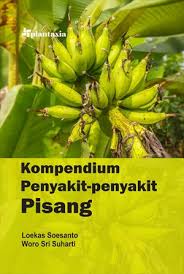 Kompendium Penyakit-Penyakit Pisang 