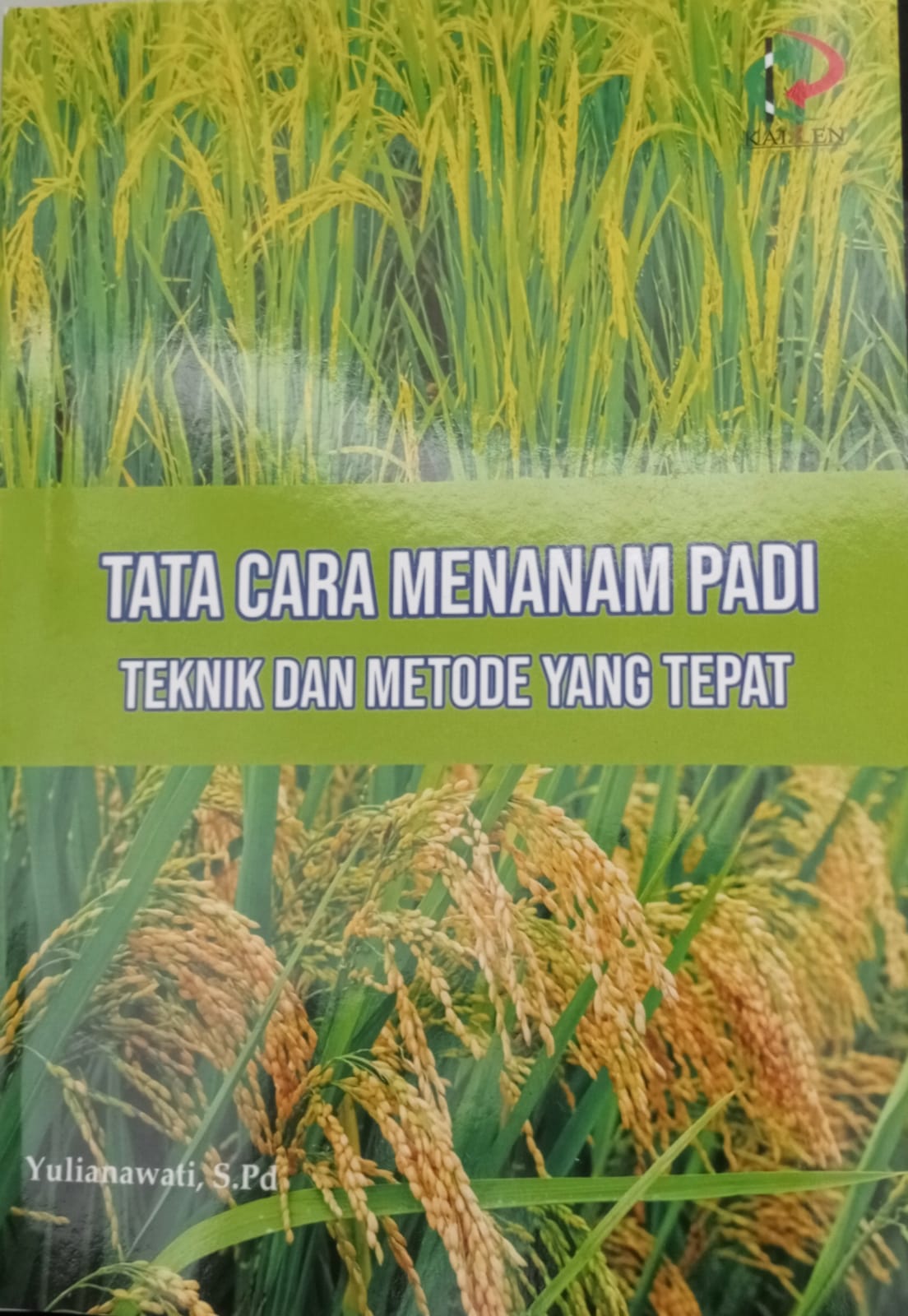 Tata Cara Menanam Padi : teknik dan metode yang tepat 