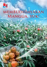 Membudidayakan Mangga, Yuk! 