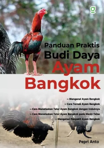 PANDUAN PRAKTIS BUDIDAYA AYAM BANGKOK : Mengenal Ayam Bangkok 