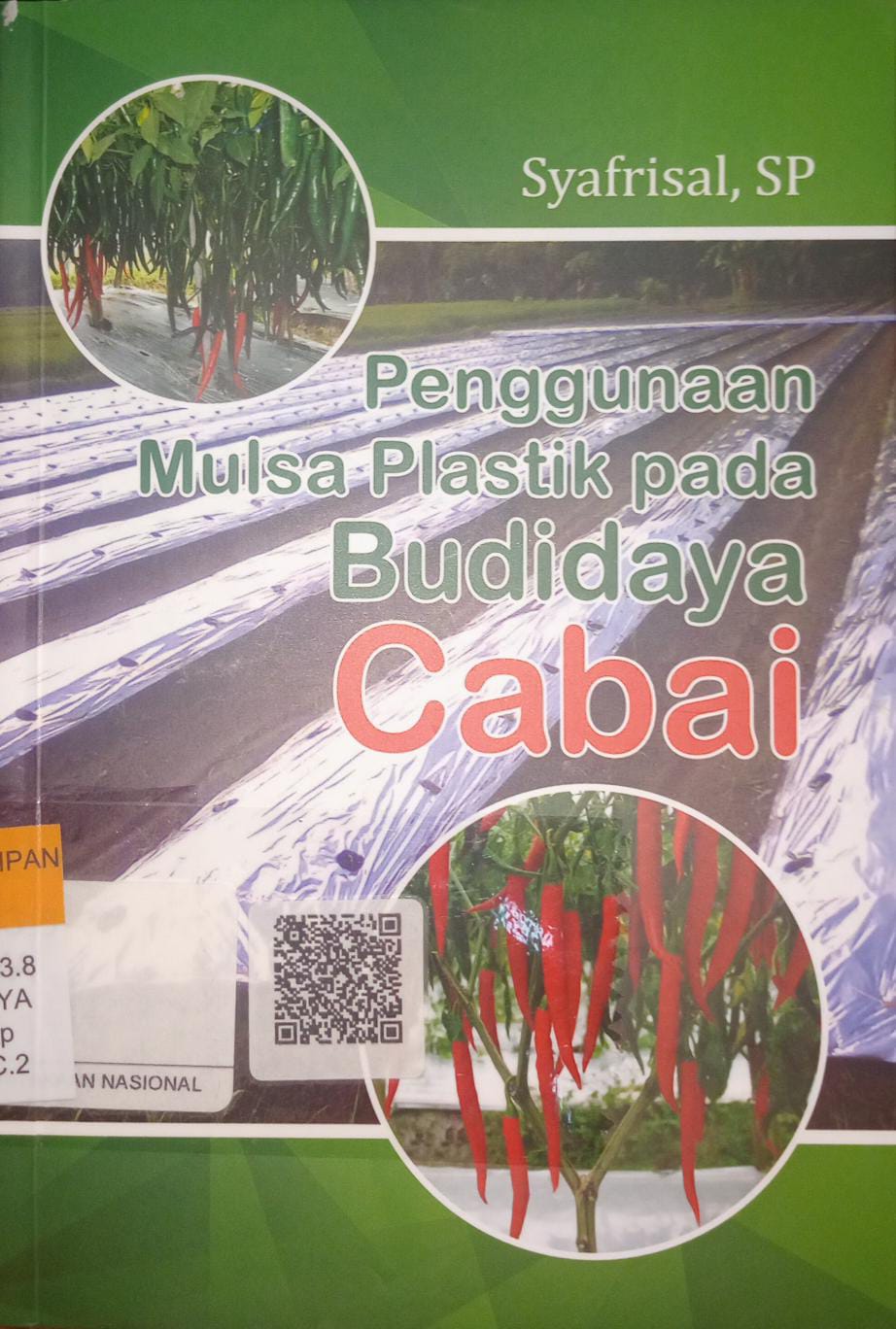 Penggunaan mulsa plastik hitamperak pada budidaya cabai 