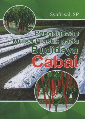 Penggunaan mulsa plastik hitamperak pada budidaya cabai 