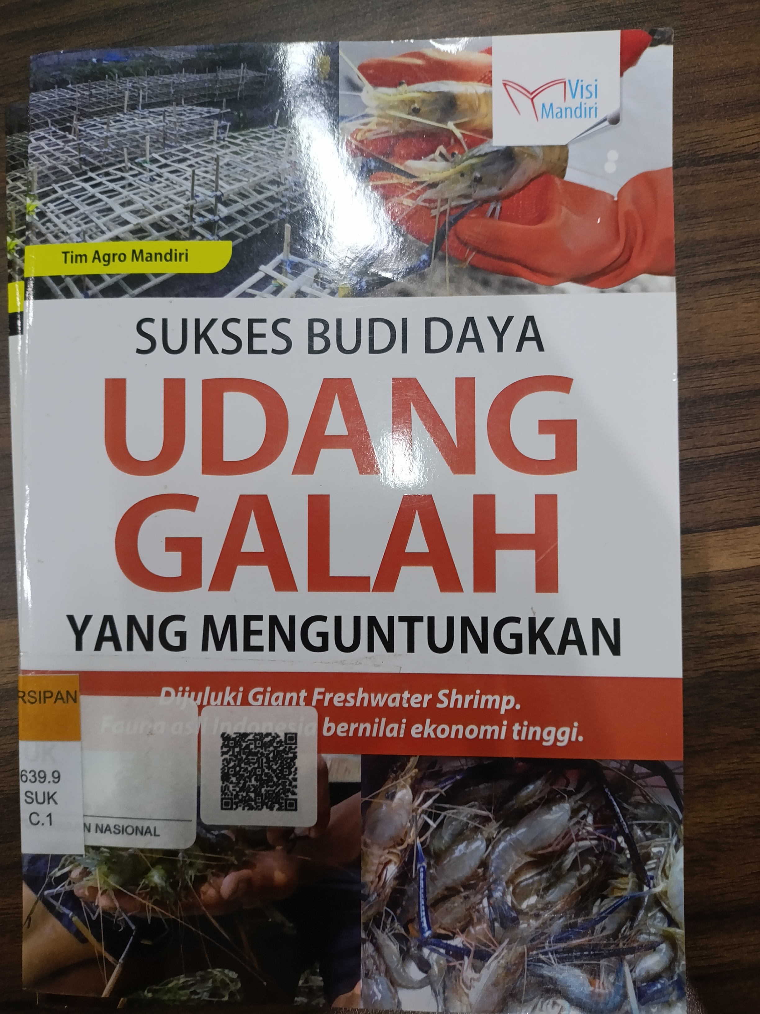 Sukses budi daya Udang Galah yang menguntungkan 