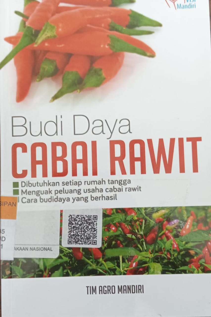 Budi daya cabai rawit 