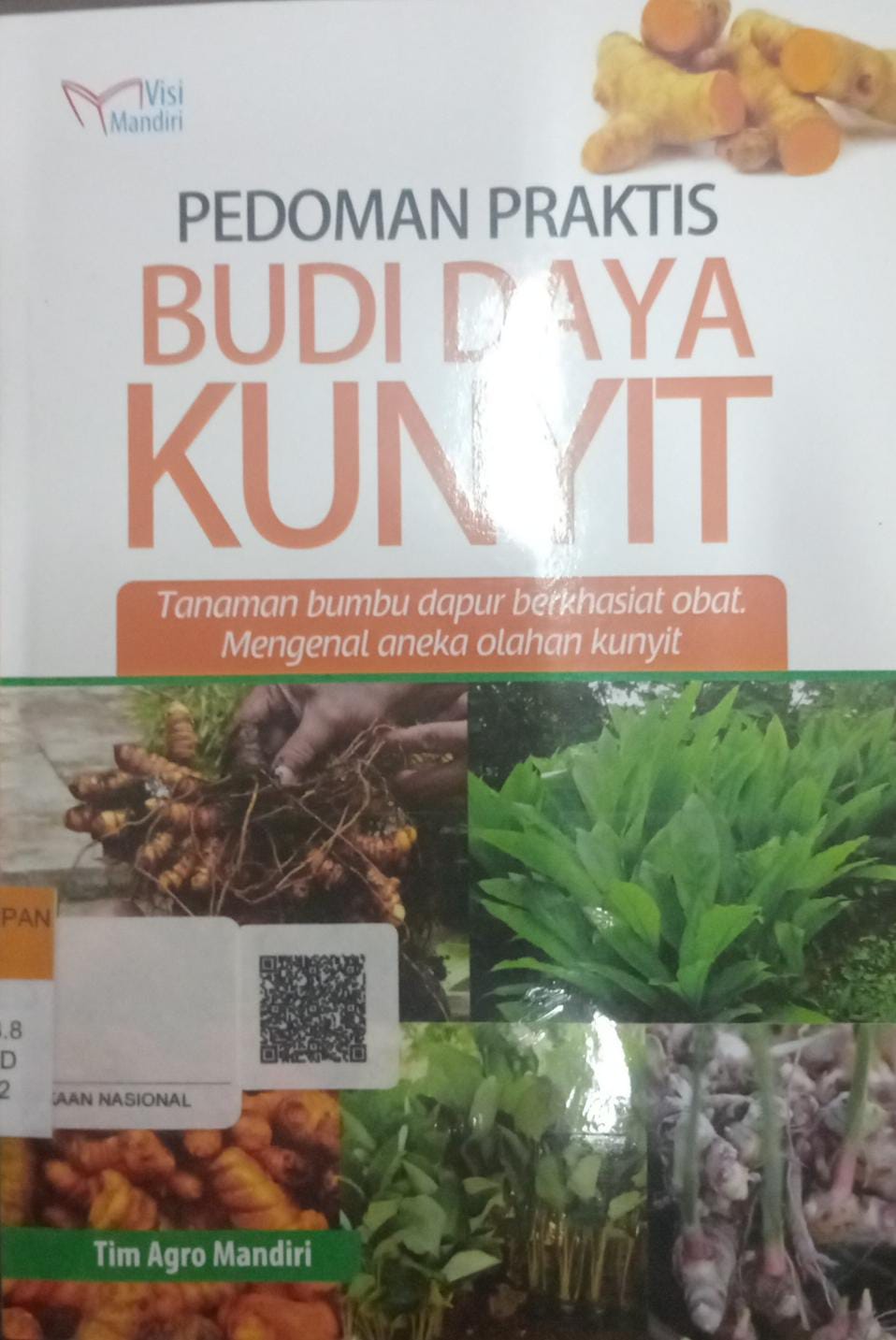 Pedoman praktis budi daya Kunyit 