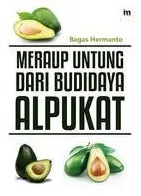 Meraup untung dari budidaya Alpukat 