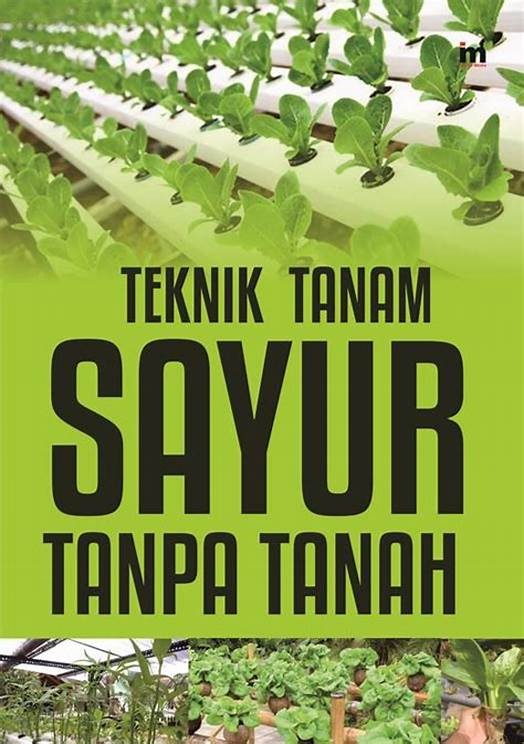 Teknik tanam sayur tanpa tanah 