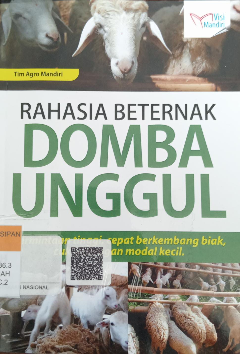 Rahasia beternak domba unggul 