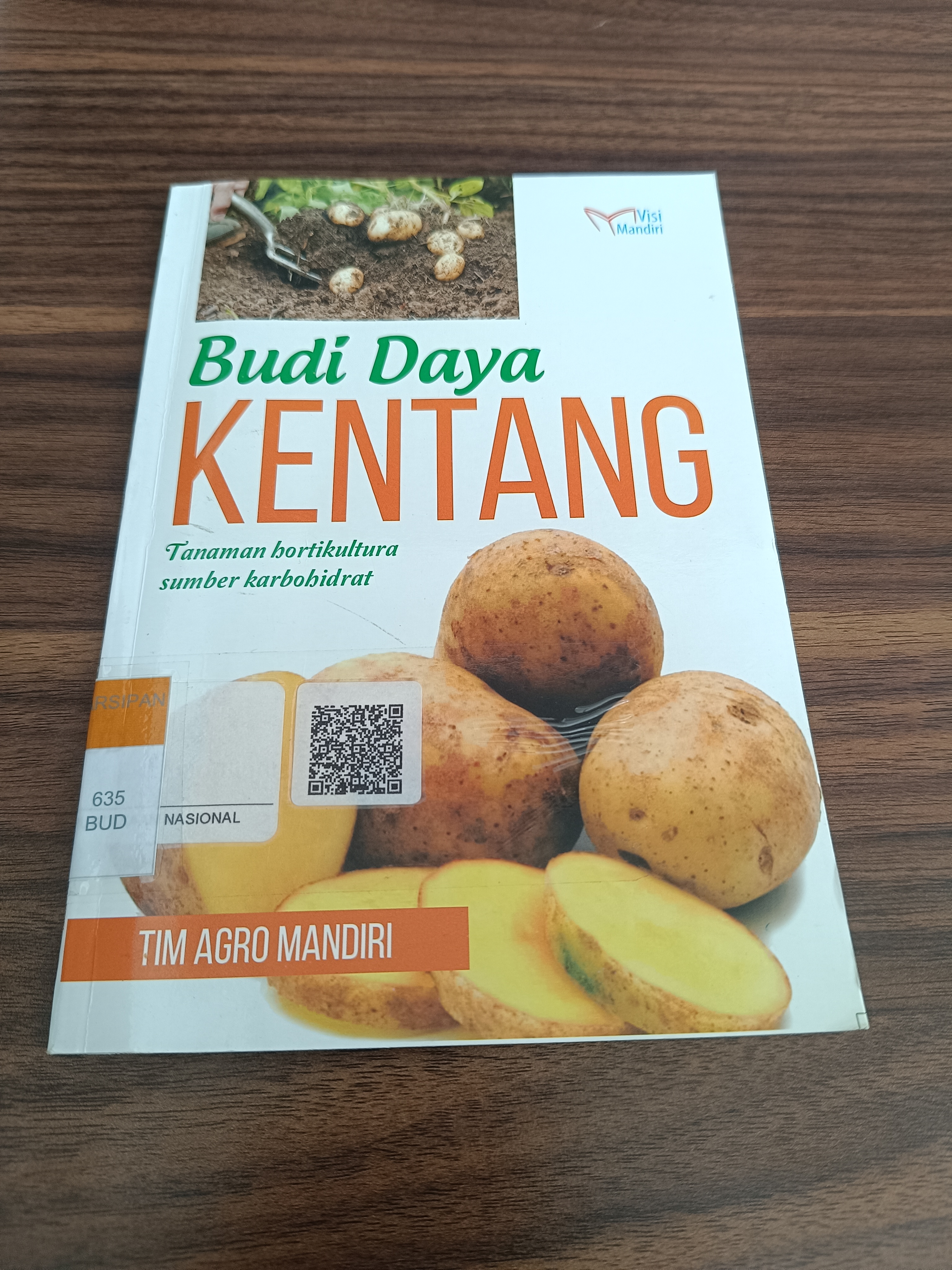 Budi daya kentang 