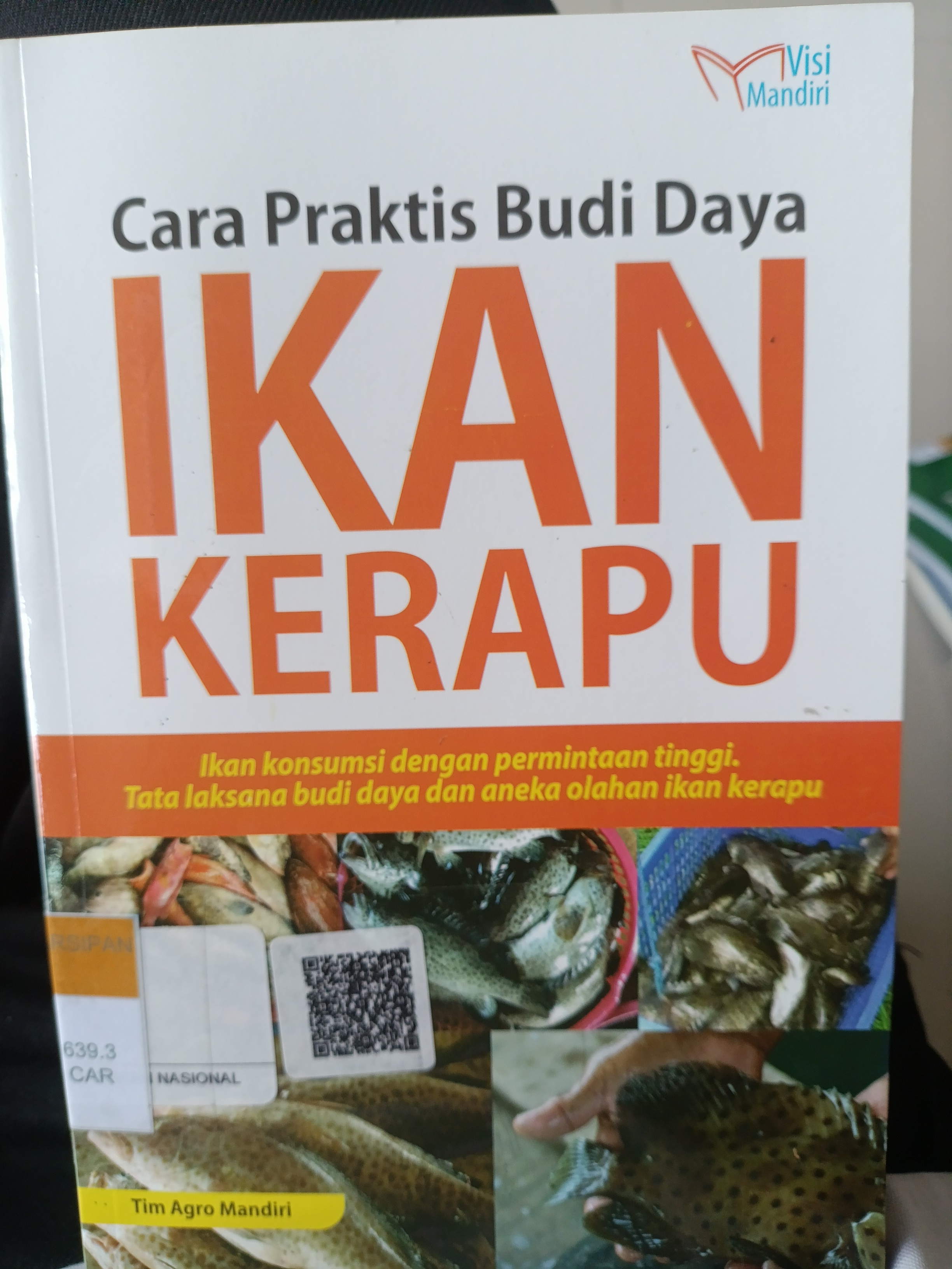 Cara praktis budi daya Ikan Kerapu 